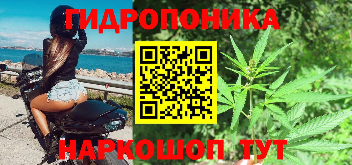Канабис AK-47 Гусев